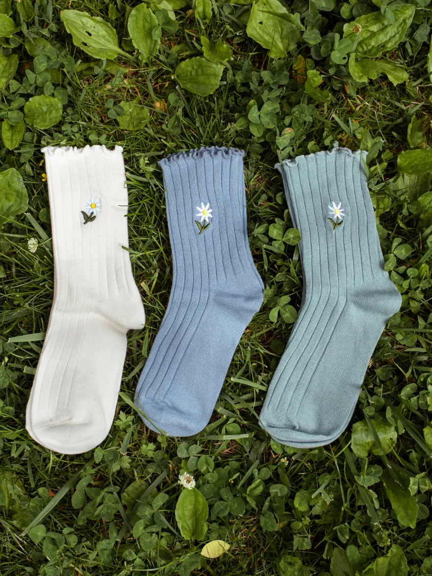 Daisy Delight Sock Bundle
