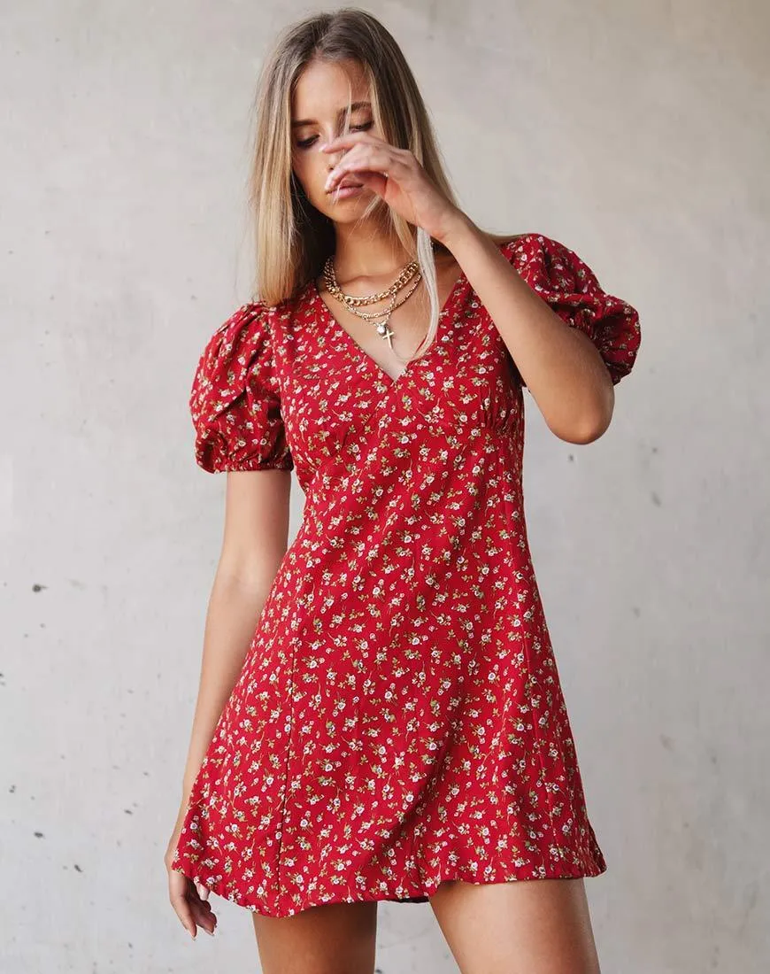 Elfira Dress in Falling for You Floral Red